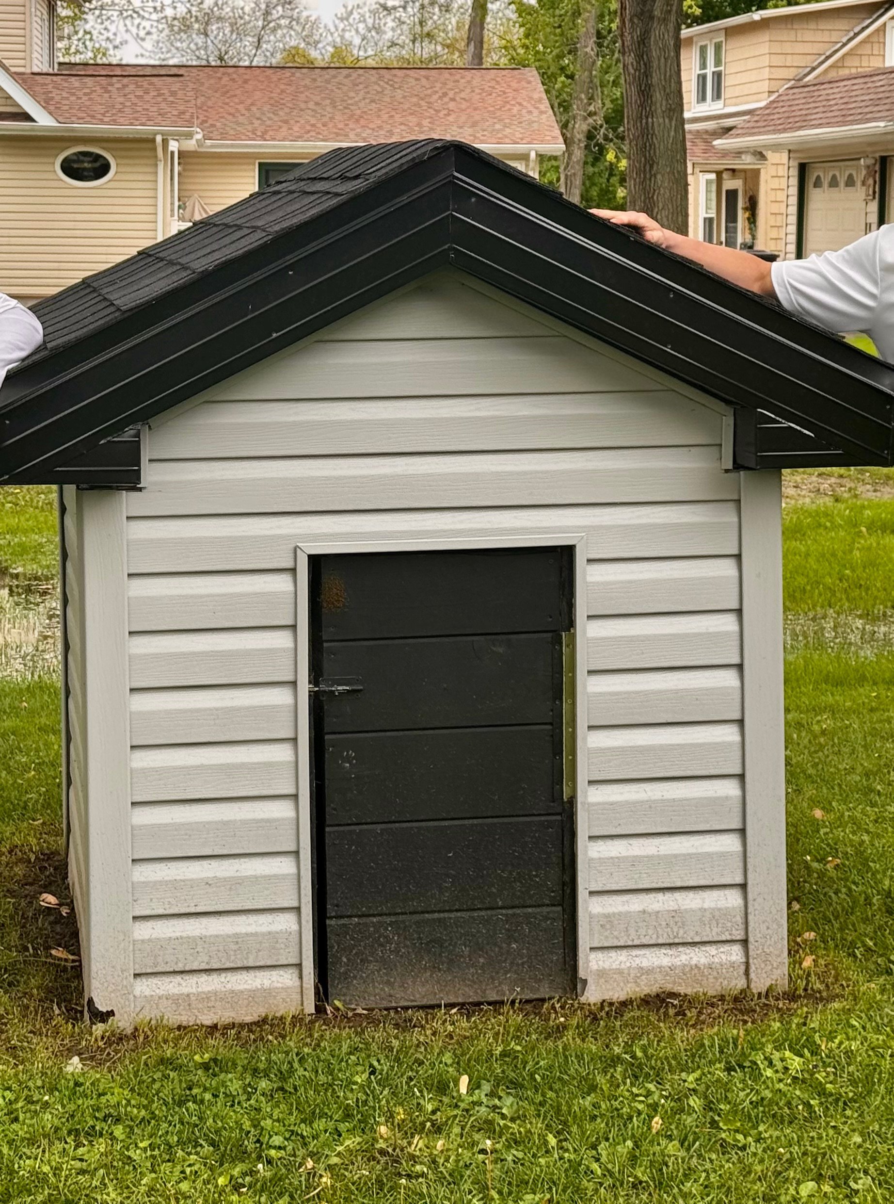 Person pointing to a small shed with white siding, black roof, and black door in a grassy yard