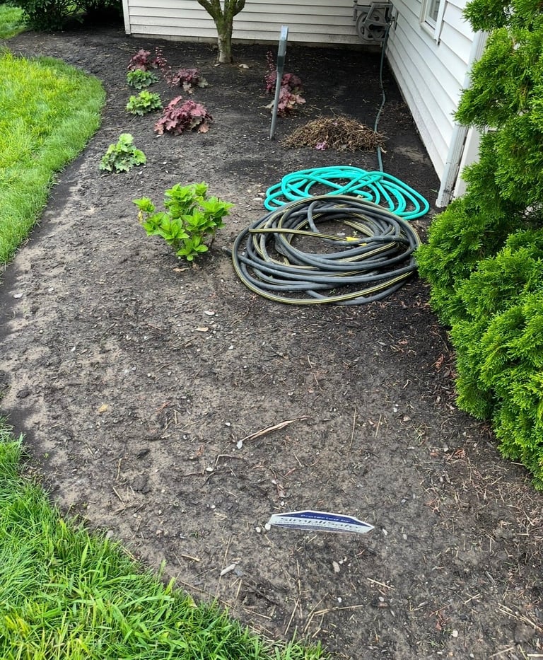 Backyard garden bed with coiled garden hoses, small plants, and mulch beside a white house with green shrubs