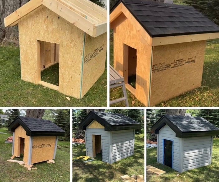 Five stages of dog house construction showing progression from bare wooden frame to finished painted structure with roof